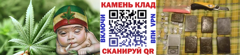 ГАШ Cannabis Луга