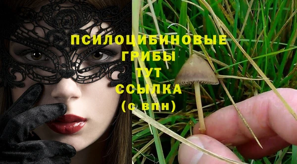 спайс Новозыбков