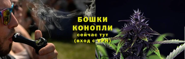 стафф Няндома