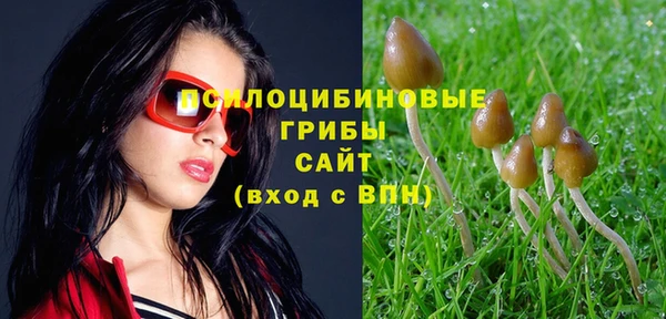 стафф Осташков