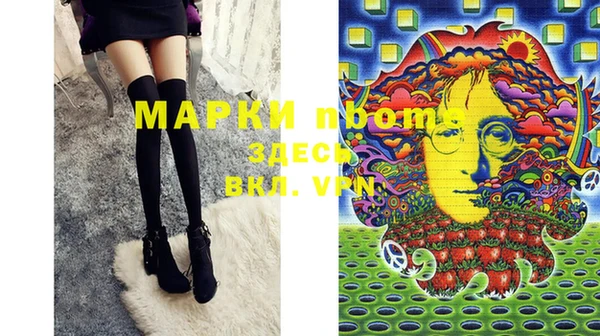 стафф Осташков