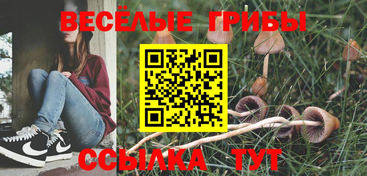 Псилоцибиновые грибы GOLDEN TEACHER  Вход с VPN  Луга  Псилоцибиновые грибы ЛСД 